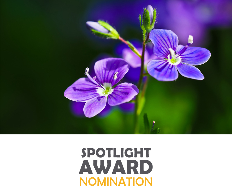 You are currently viewing LPFCC Nominated for Local First Nonprofit Spotlight Award