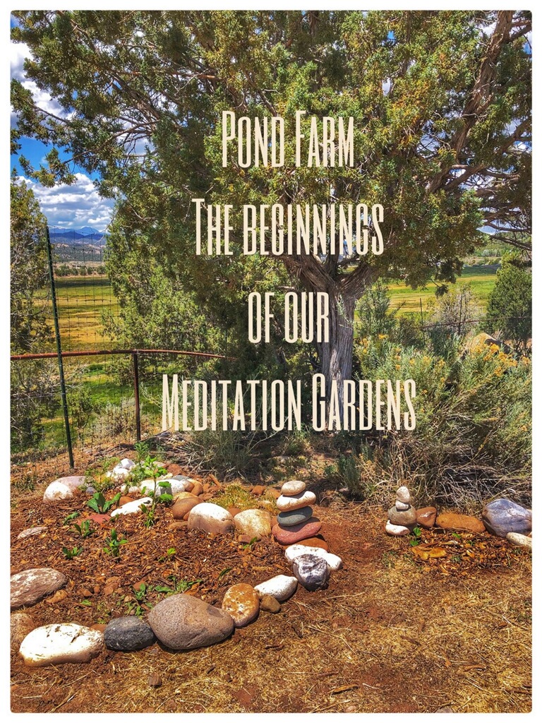 Read more about the article The Meditation Gardens